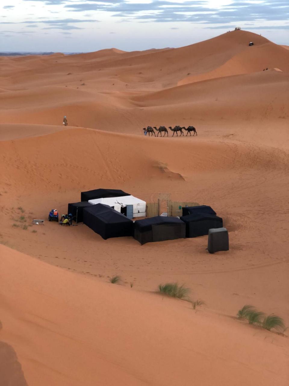 Sahara Camel Tours Camp Hotel Мерцуга Екстериор снимка